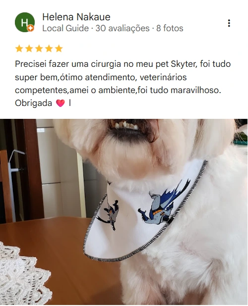 Avaliação 5 estrelas