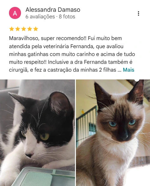 Avaliação 5 estrelas