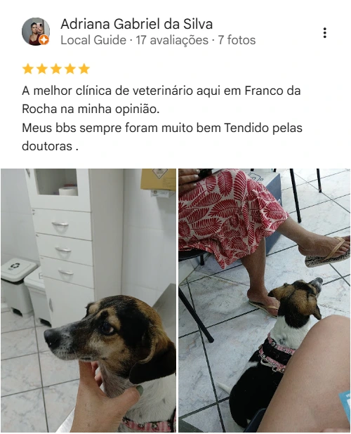 Avaliação 5 estrelas